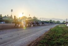 Ippica IPPODROMO DEL GARIGLIANO