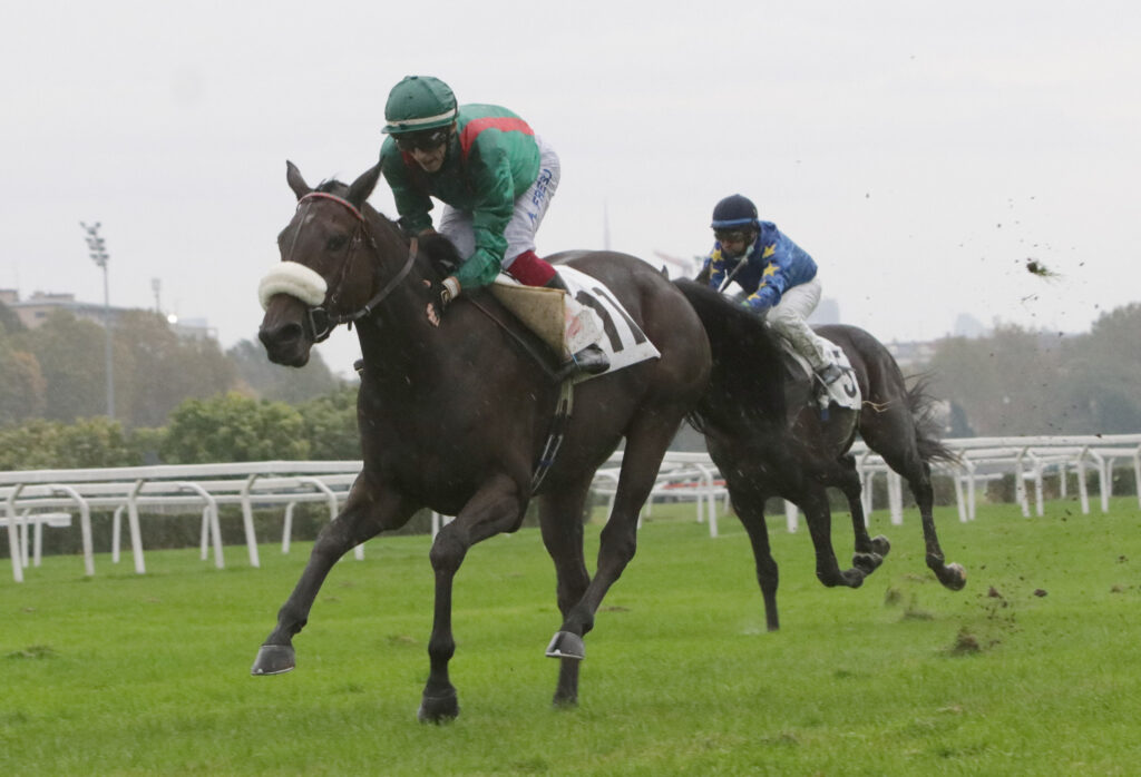 Ippodromo Snai San Siro galoppo