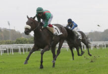 Ippica, Ippodromo Snai San Siro: il premio Lampugnano e il premio Poncia con protagonisti i cavalli di 2 anni nel mercoledì di galoppo Ippodromo Snai San Siro galoppo