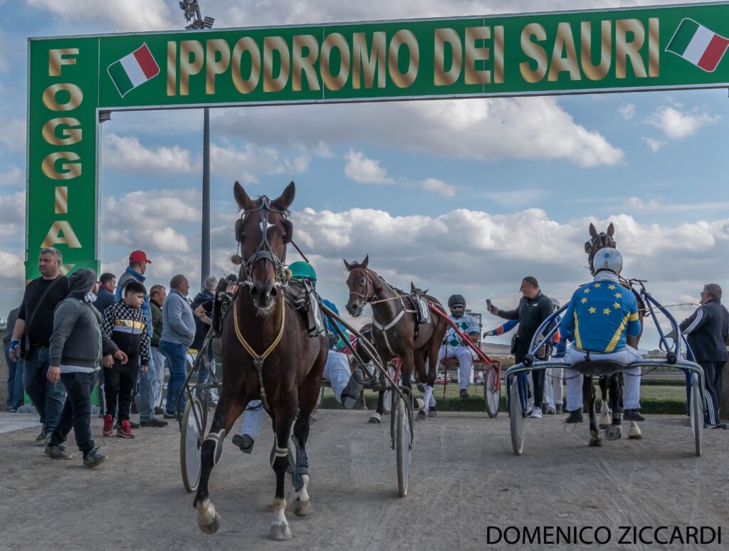 Ippodromo dei Sauri