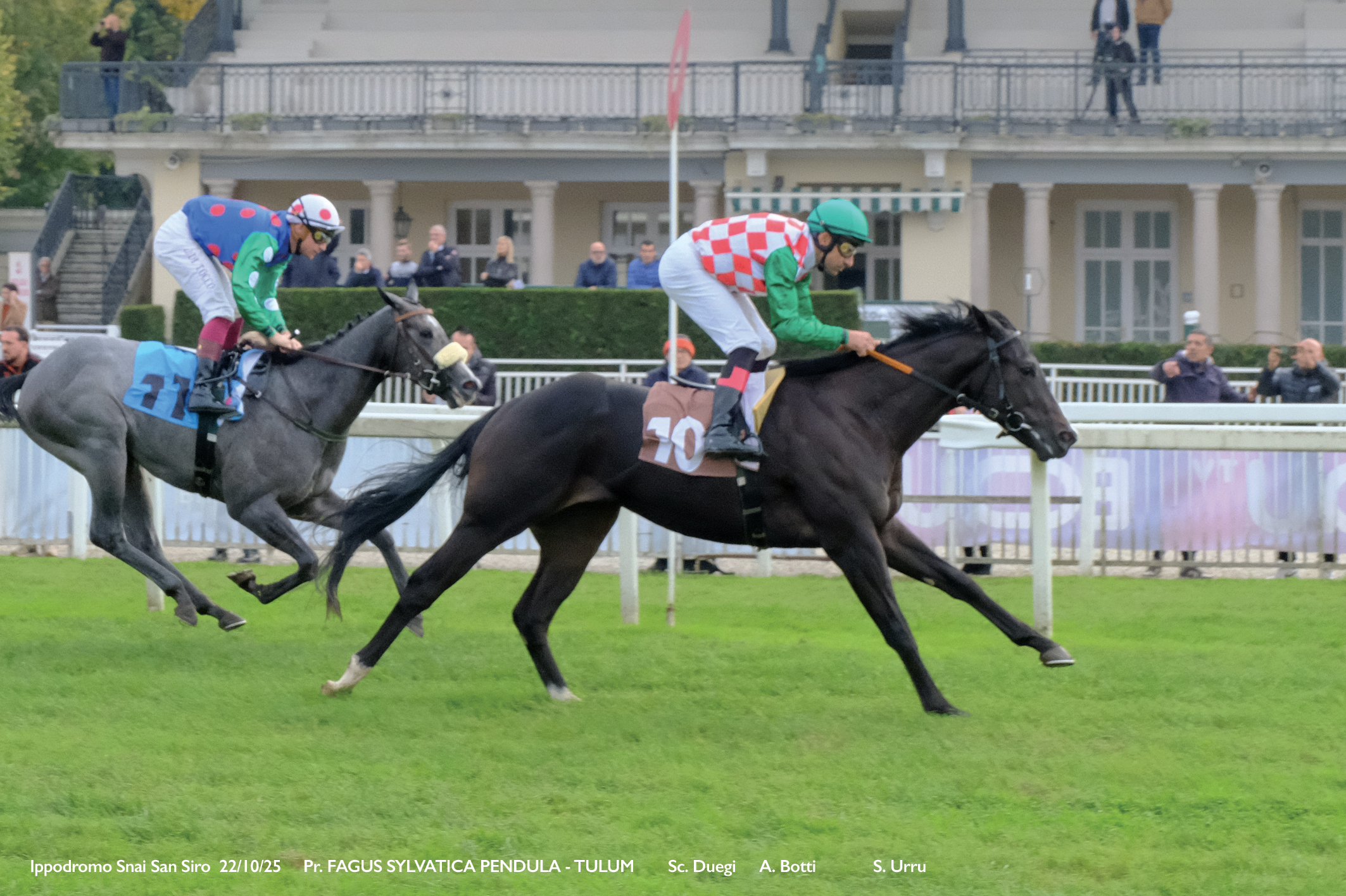 All’Ippodromo Snai San Siro, il mercoledì di Galoppo con le due prove per i cavalli di 2 anni sorride a Tulum e Pokera