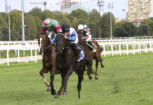 Ippica, Ippodromo Snai San Siro: premio Cloridano e premio Guido Clerici in una domenica di galoppo da non perdere Ippodromo Snai San Siro galoppo 2