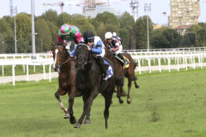 Ippodromo Snai San Siro galoppo 2 | AGIMEG Ippodromo Snai San Siro galoppo 2