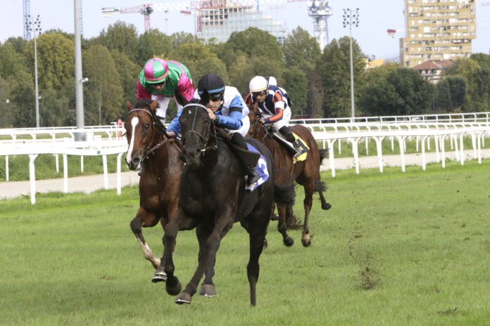 Ippodromo Snai San Siro galoppo 2 Ippodromo Snai San Siro galoppo 2