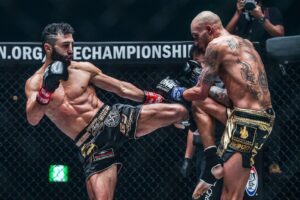 Petrosyanmania The Last Fight 2