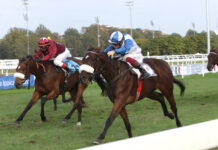 Ippica, Ippodromo Snai San Siro: mercoledì di galoppo con otto prove dalle 14:20 Premio Verzieri Ippodromo Snai San Siro