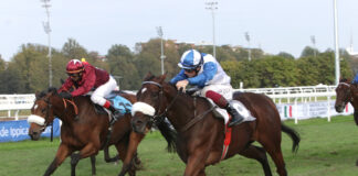 Ippodromo Snai San Siro: domenica top nel galoppo, in pista il premio Verziere Premio Verzieri Ippodromo Snai San Siro