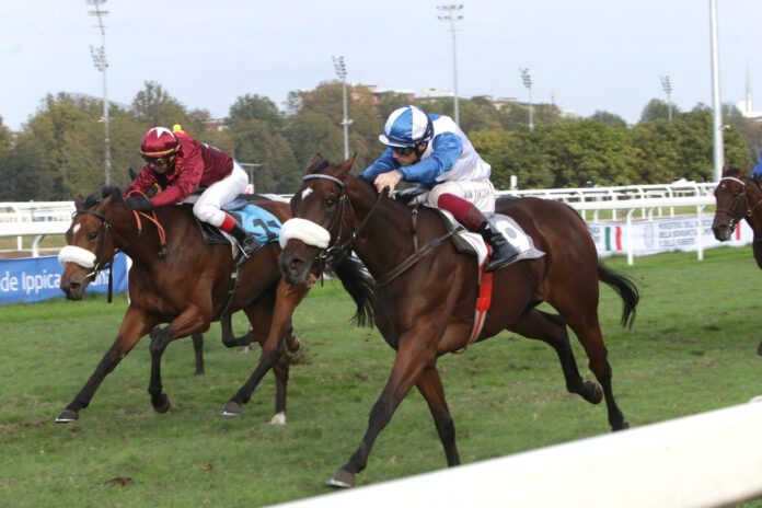 Premio Verzieri Ippodromo Snai San Siro Premio Verzieri Ippodromo Snai San Siro