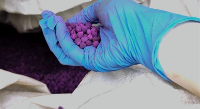 ADM GDF Genova 1 ADM GDF Genova 1