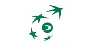 Coppa Davis, Berrettini favorito su Collignon: Matteo proposto a 1.40 Coppa Davis logo