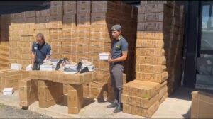 ADM porto di Bari 1 | AGIMEG ADM porto di Bari 1