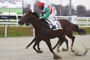 IPPODROMO SNAI SAN SIRO PREMIO CHRISTMAS SPRINTER