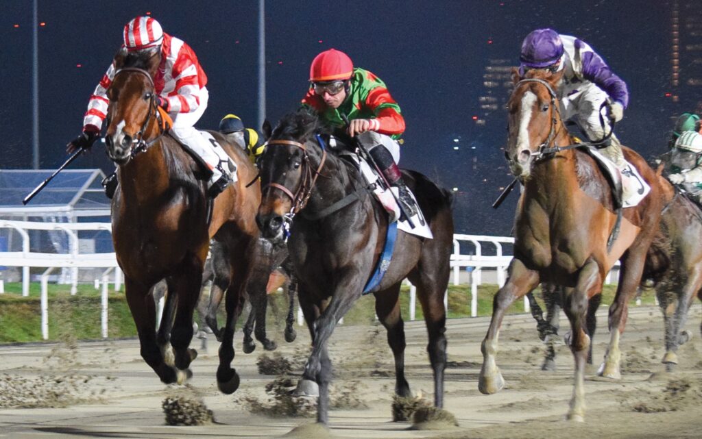 IPPODROMO SNAI SAN SIRO PREMIO CHRISTMAS MILER