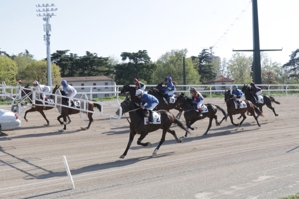 Ippodromo Snai San Siro trotto 2 | AGIMEG Ippodromo Snai San Siro trotto 2