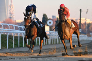 LA PISTA IN SABBIA IPPODROMO SNAI SAN SIRO MILANO