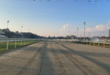 Ippica, Ippodromo Snai San Siro: sabato top di galoppo con in pista la listed per il premio Circo Massimo PISTA IN SABBIA IPPODROMO SNAI SAN SIRO GALOPPO_3