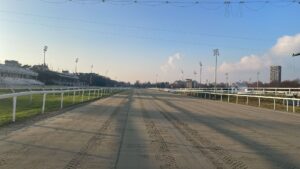 PISTA IN SABBIA IPPODROMO SNAI SAN SIRO GALOPPO_3
