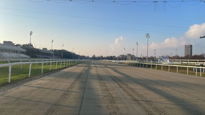 PISTA IN SABBIA IPPODROMO SNAI SAN SIRO GALOPPO_3 PISTA IN SABBIA IPPODROMO SNAI SAN SIRO GALOPPO_3