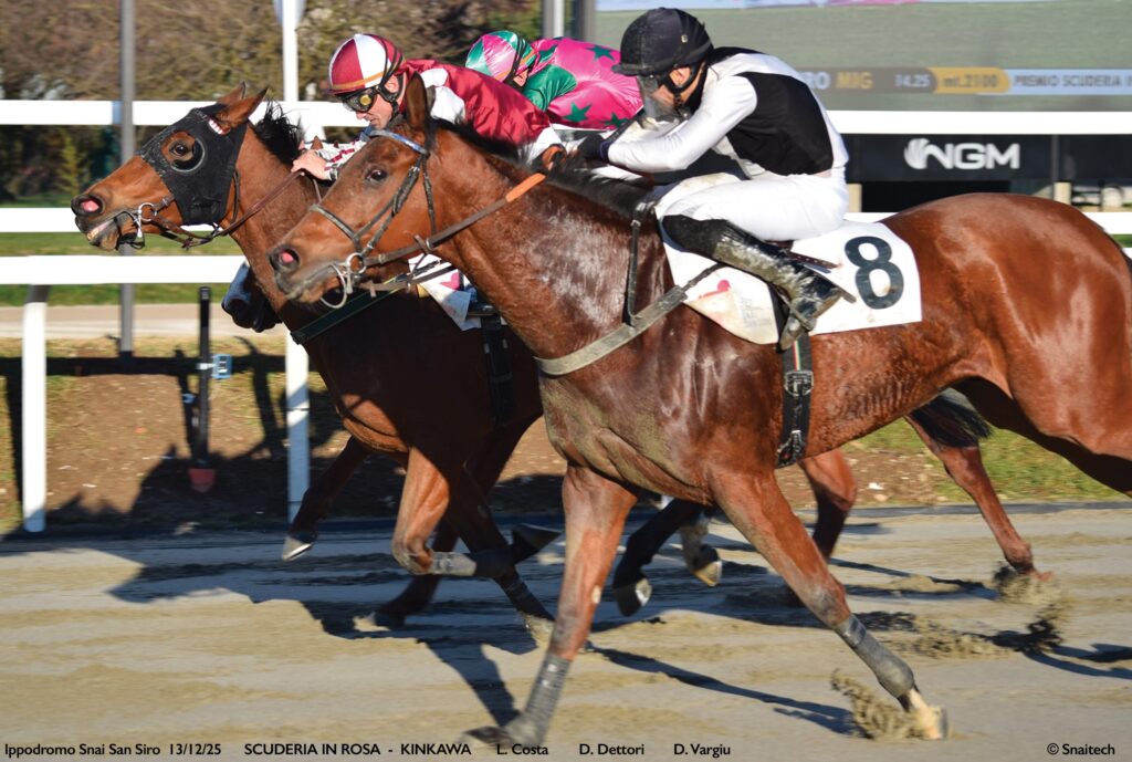 Snai ippica galoppo ippodromo San Siro