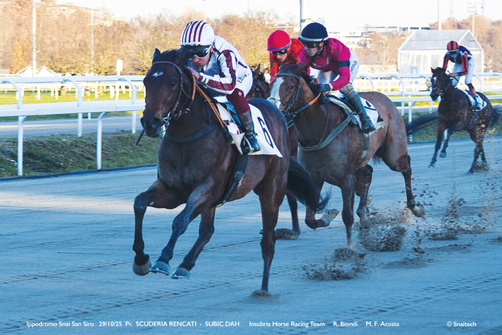 Snai ippica galoppo ippodromo San Siro 2 | AGIMEG Snai ippica galoppo ippodromo San Siro 2