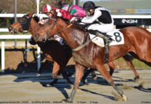 Network MST, programmazione settimanale del palinsesto complementare: dalle Belmont Stakes al fascino senza tempo del Derby di Epsom Snai ippica galoppo ippodromo San Siro