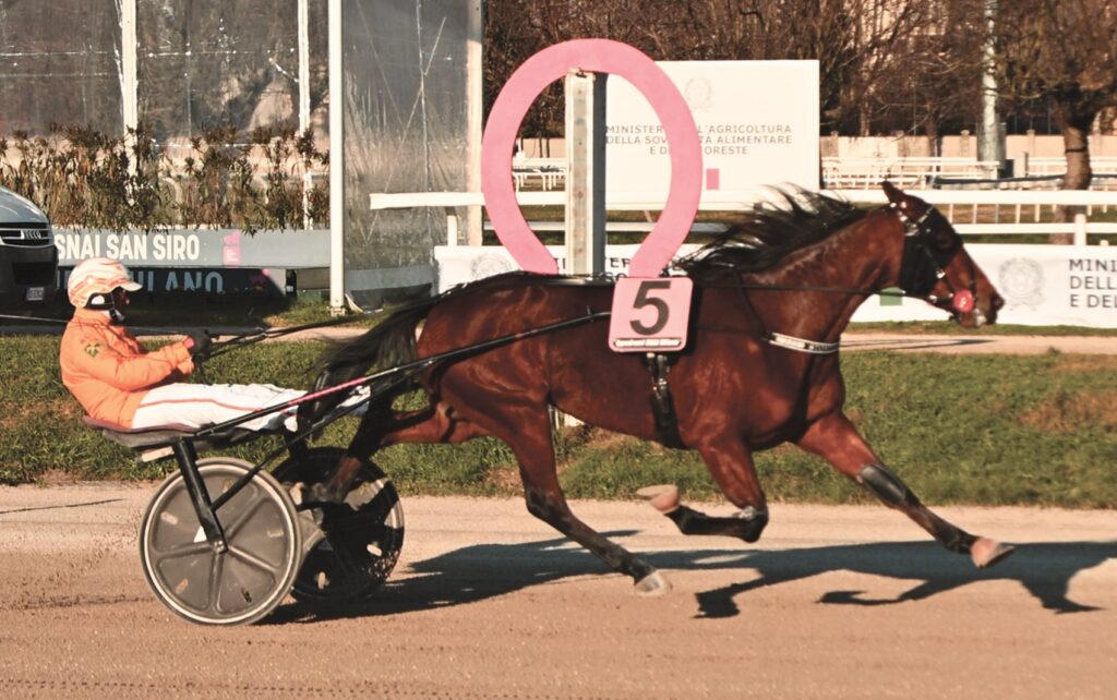 Snai ippica trotto ippodromo San Siro