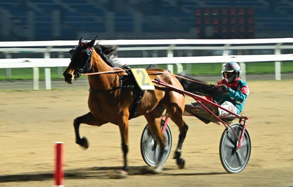 Snai ippica trotto ippodromo San Siro 3 | AGIMEG Snai ippica trotto ippodromo San Siro 3