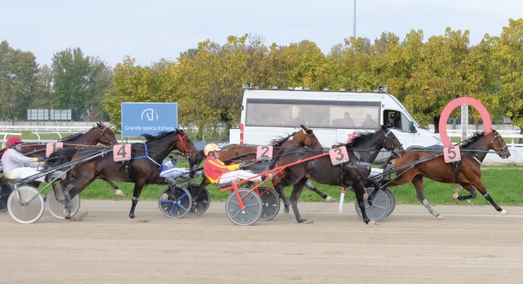 TROTTO IPPODROMO SNAI SAN SIRO MILANO | AGIMEG TROTTO IPPODROMO SNAI SAN SIRO MILANO