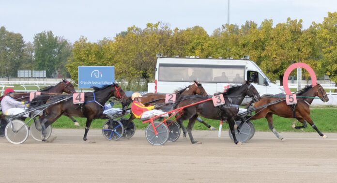 TROTTO IPPODROMO SNAI SAN SIRO MILANO TROTTO IPPODROMO SNAI SAN SIRO MILANO