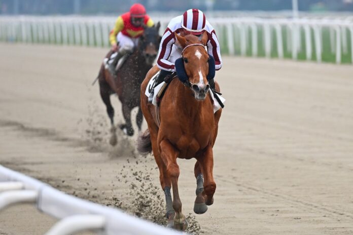 Corsa1_PREMIO CHICAGO Ippodromo Snai San Siro PREMIO CHICAGO