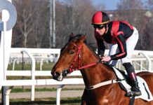 Ippodromo Snai San Siro, nel post Epifania trionfa Parsifal nella Prova Maiden per i neo 3 anni. Vince Winter Sky nell’Handicap sui 2.100 metri PREMIO MOLVEDO