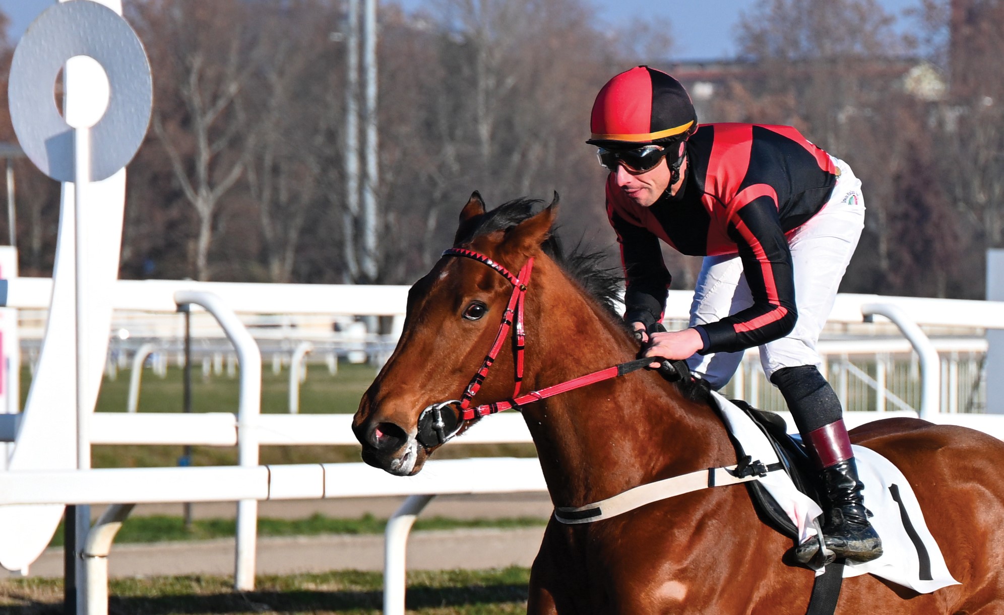 Ippodromo Snai San Siro, nel post Epifania trionfa Parsifal nella Prova Maiden per i neo 3 anni. Vince Winter Sky nell’Handicap sui 2.100 metri