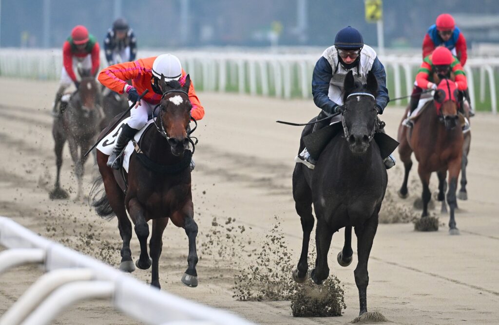 Ippodromo Snai San Siro PREMIO MARCO VISCONTI