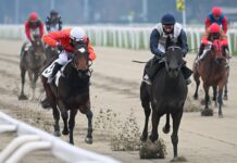 Ippica, Ippodromo Snai San Siro: domenica la 29^ giornata di galoppo con in pista il premio Ambrosiano. Al via dalle ore 14:55 Ippodromo Snai San Siro PREMIO MARCO VISCONTI