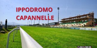 Ippodromo Capannelle torna a Roma Capitale: il piano per il rilancio tra ippica, tennis e padel Ippodromo Capannelle di Roma riqualificazione con padel e tennis