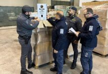 ADM e GDF: sequestrati 1.400 bidoni di gas refrigeranti nel porto di Venezia adm sequestro gas