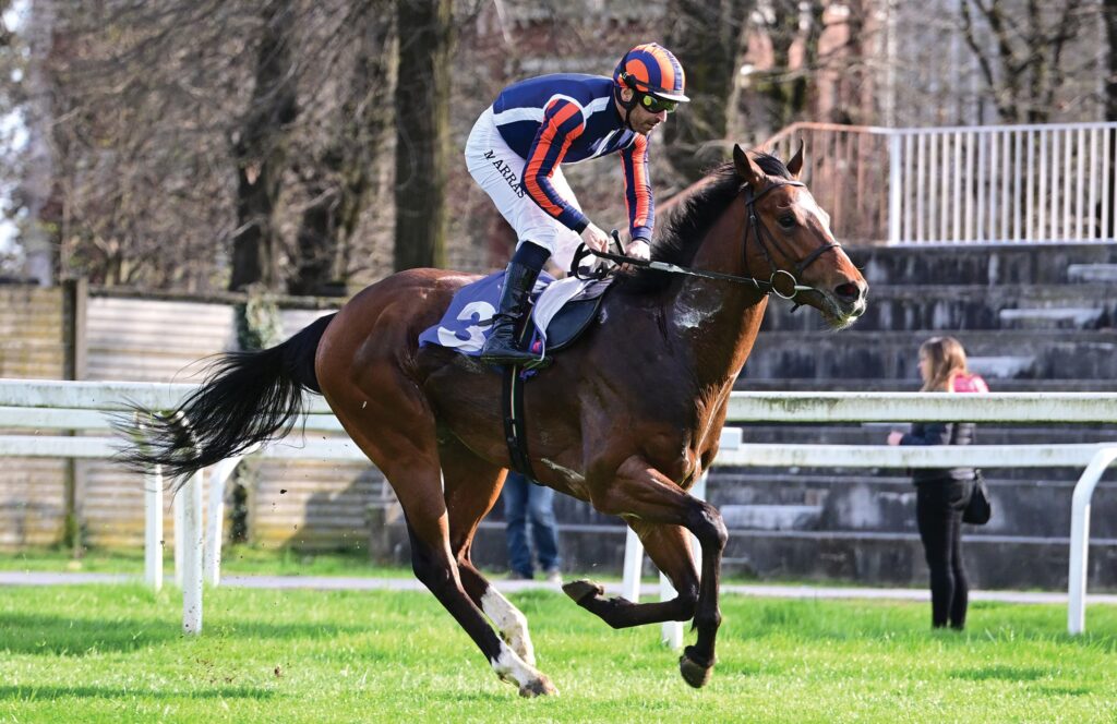 Ippodromo Snai San Siro galoppo | AGIMEG Ippodromo Snai San Siro galoppo