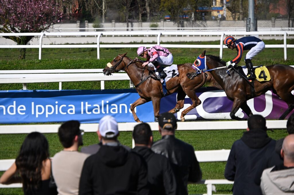 Ippodromo Snai San Siro galoppo 2