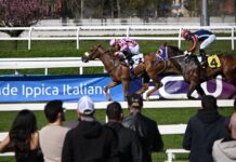 Ippica, Ippodromo Snai San Siro: 1° aprile con le corse di galoppo valide per la 18^ giornata. Al via con otto prove dalle ore 14:45 Ippodromo Snai San Siro galoppo 2