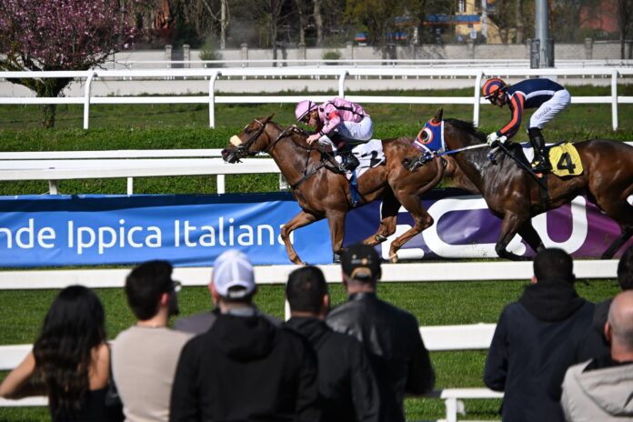 Ippodromo Snai San Siro galoppo 2 Ippodromo Snai San Siro galoppo 2
