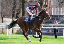 Ippica, Ippodromo Snai San Siro: il 15 aprile l’infrasettimanale di galoppo con il premio Giambattista Gnutti e la TQQ Ippodromo Snai San Siro galoppo