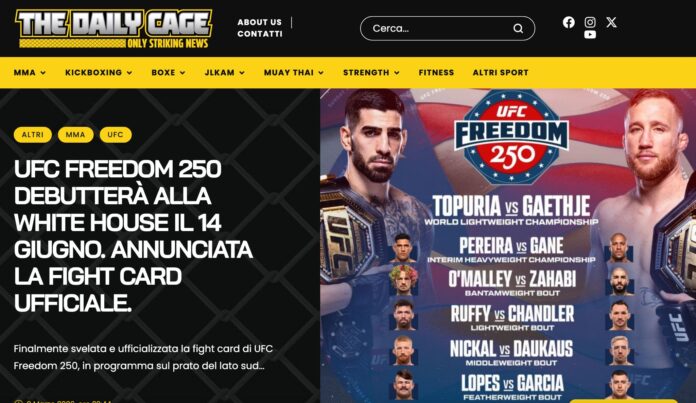 Ufc Freedom 250