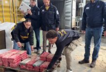 ADM: sequestrati oltre 65 chili di cocaina all’interno del porto della Spezia ADM GDF cocaina Spezia