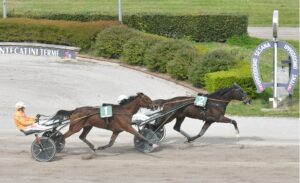 Ippodromo Snai Sesana trotto | AGIMEG Ippodromo Snai Sesana trotto
