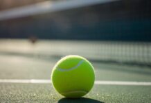 Scommesse ATP Madrid: per Eplay24 Sinner a 1.01 contro Norrie, favorito anche Musetti Pallina tennis