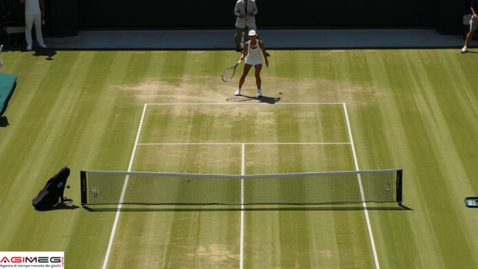 Tennis femminile Tennis