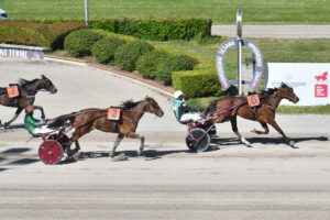 Corse-Trotto-Ippodromo-Snai-Sesana-2026 | AGIMEG Corse-Trotto-Ippodromo-Snai-Sesana-2026