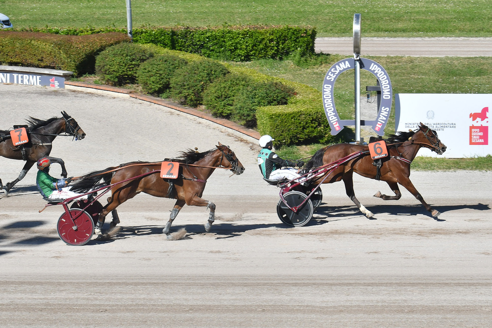 Corse-Trotto-Ippodromo-Snai-Sesana-2026