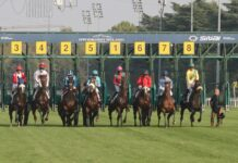Ippodromo Snai San Siro: programma corse mercoledì 13 maggio Eight horses with jockeys launching from starting stalls numbered 3 to 8 at a racetrack, colorful silks racing on the green turf.