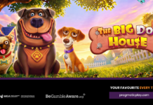 Casinò online, Pragmatic Play lancia The Big Dog House Three cheerful cartoon dogs in a sunny yard frame a bright sign that reads The Big Dog House.
